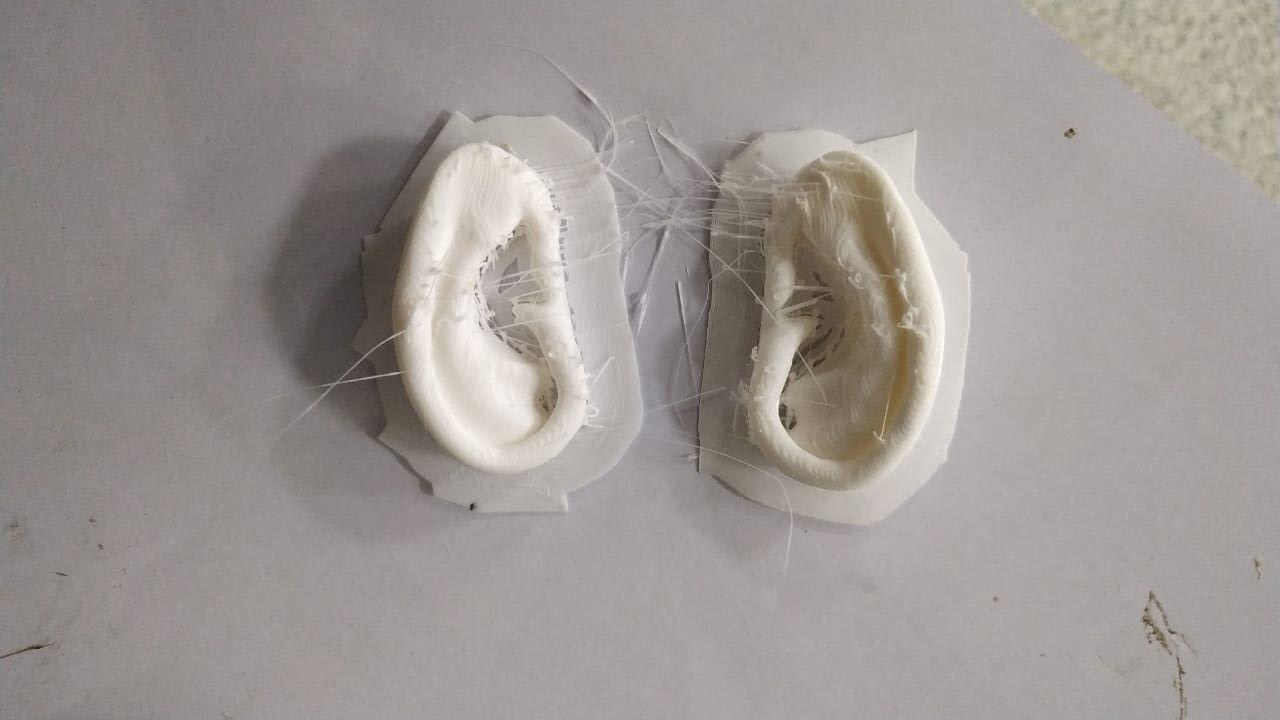 Rotated view of physical in-house 3D-printed ear components