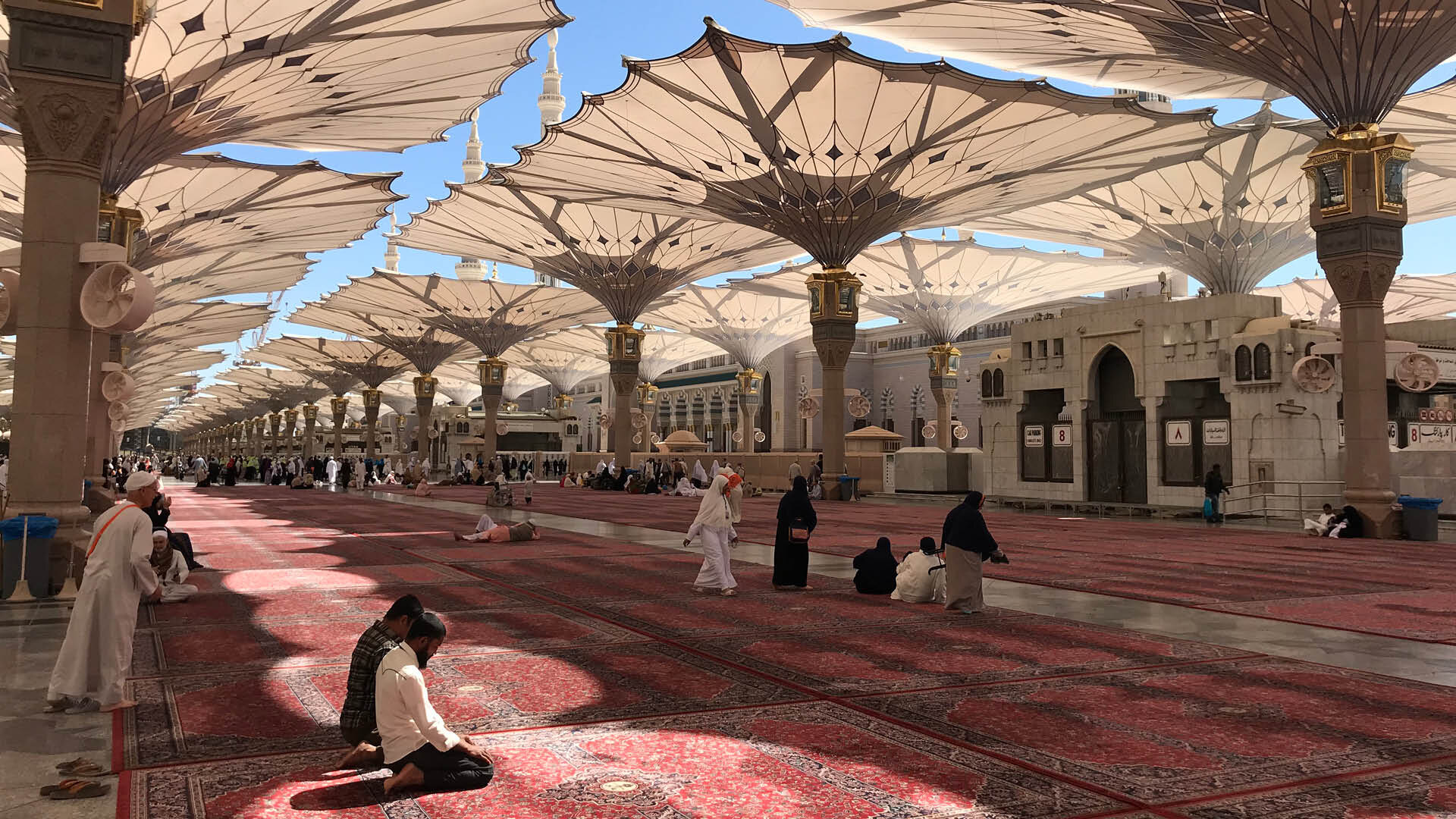 Illustrative reference for large-scale convertible canopy umbrellas