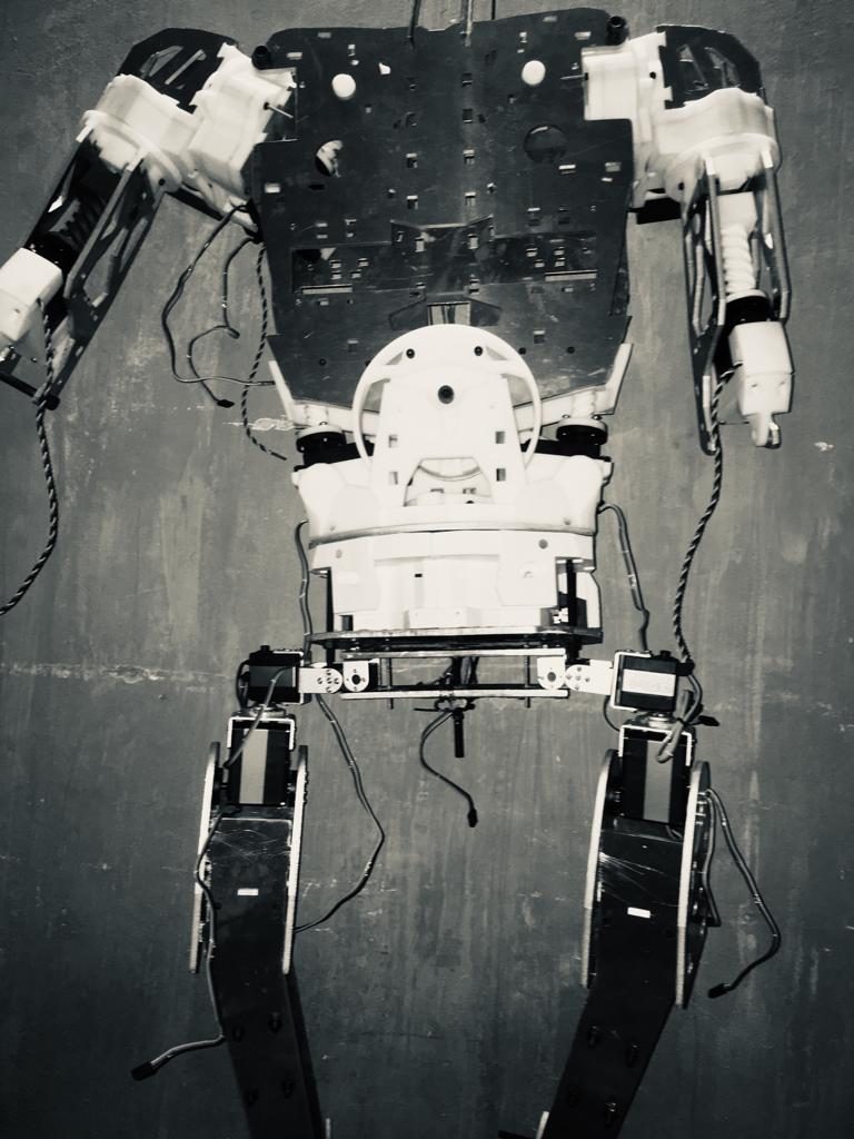 robot humanoid alpha 1.0